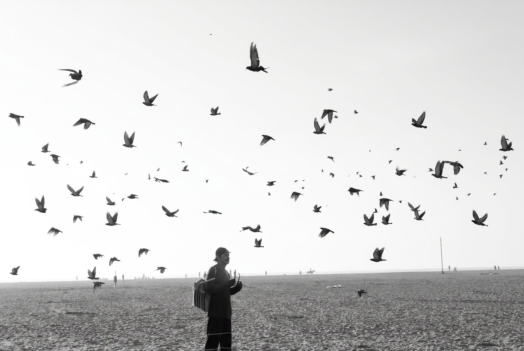 Edited black-and-white scene of a person on a beach beneath a flock of birds.
