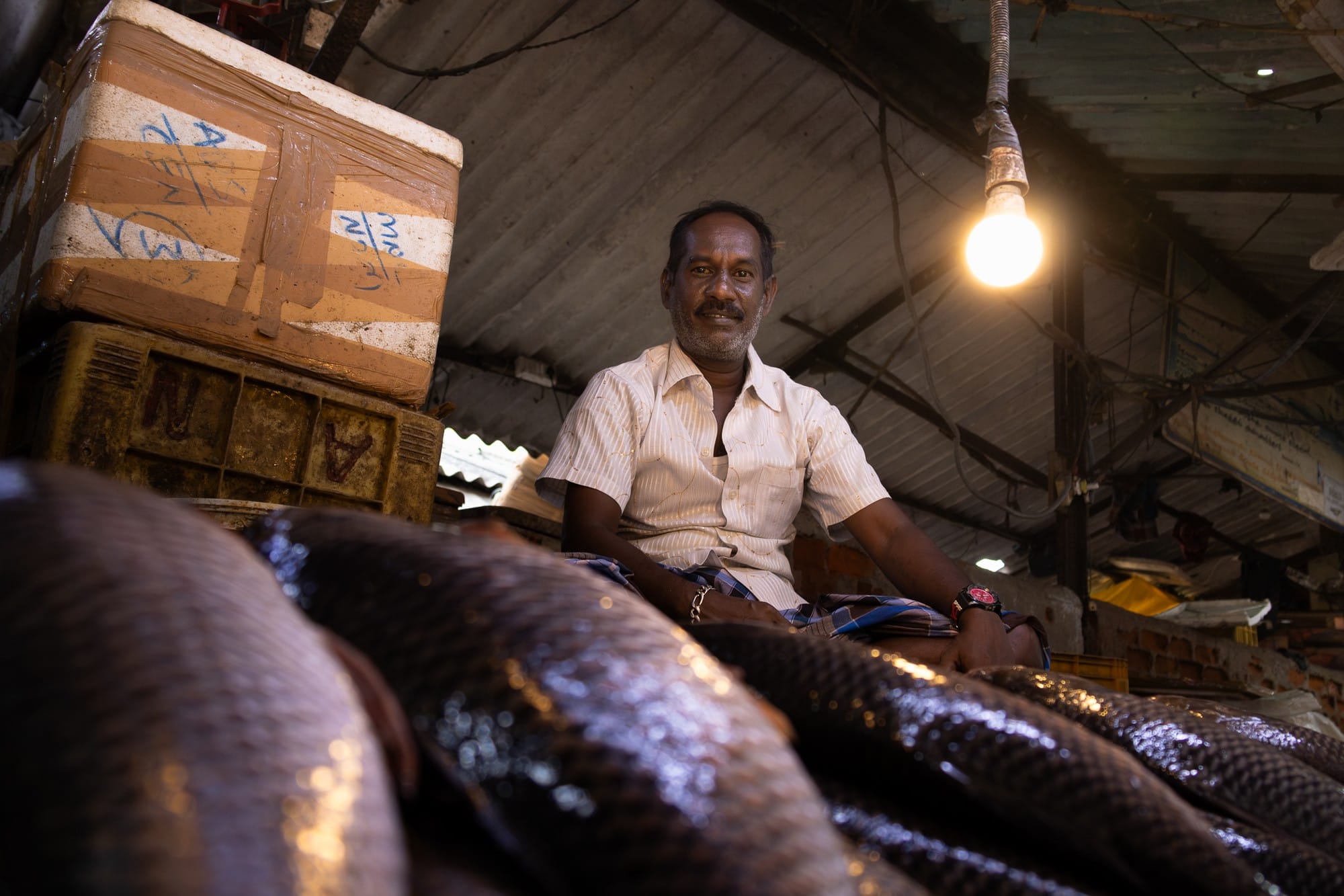 Fish vendor seated behind his display beneath a single warm hanging bulb.