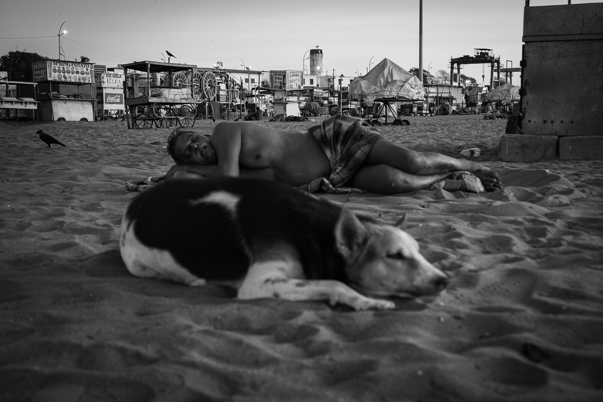Black-and-white photograph of a man and a dog resting on the sandy waterfront.